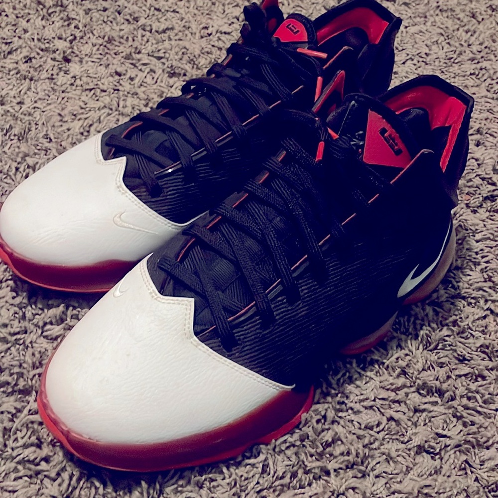 Lebron James Sneakers